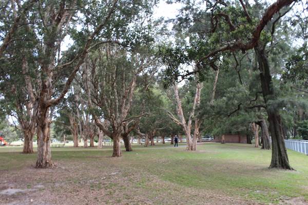 Learners Cycleway Playground - Centennial Park (24/10/2014)