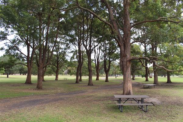 Learners Cycleway Playground - Centennial Park (24/10/2014)