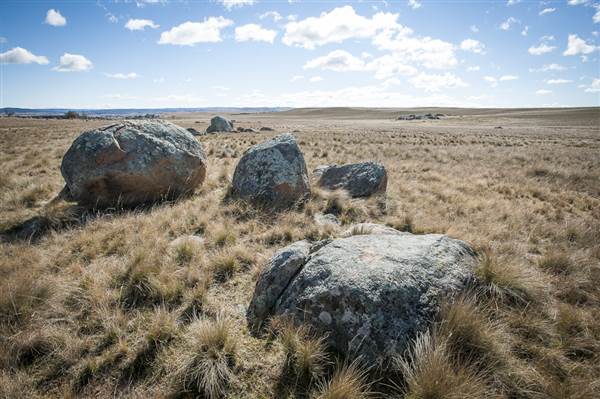Monaro Plains (14/11/2014 - Credits: Colin McDougall)