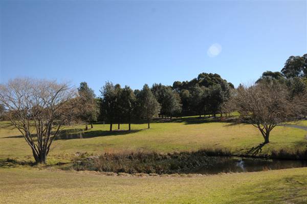 Fagan Park (24/02/2015 - Credits: Phillip Roope)
