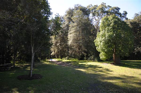 Fagan Park (24/02/2015 - Credits: Phillip Roope)