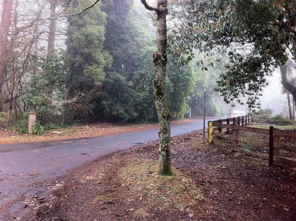 Mount Wilson Roads (24/02/2015 - Credits: Phillip Roope)