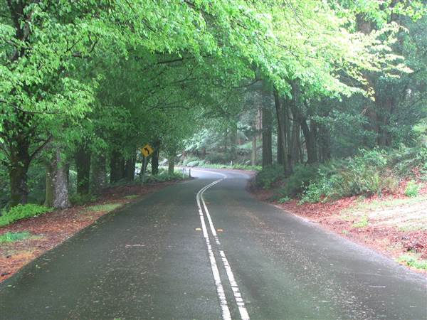 Mount Wilson Roads (24/02/2015 - Credits: Phillip Roope)