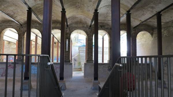 Paddington Reservoir Gardens (24/02/2015 - Credits: Phillip Roope)