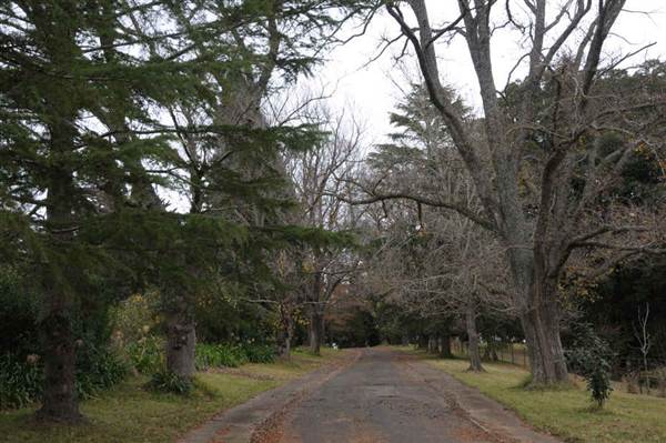 Hillview Heritage Hotel - Southern Highlands (25/05/2011 - Credits: Phillip Roope)