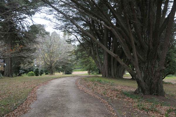 Hillview Heritage Hotel - Southern Highlands (25/05/2011 - Credits: Phillip Roope)