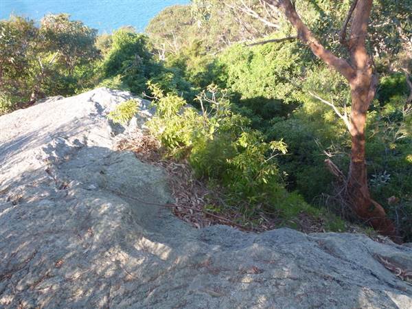 Middle Head Fortifications (13/03/2015)