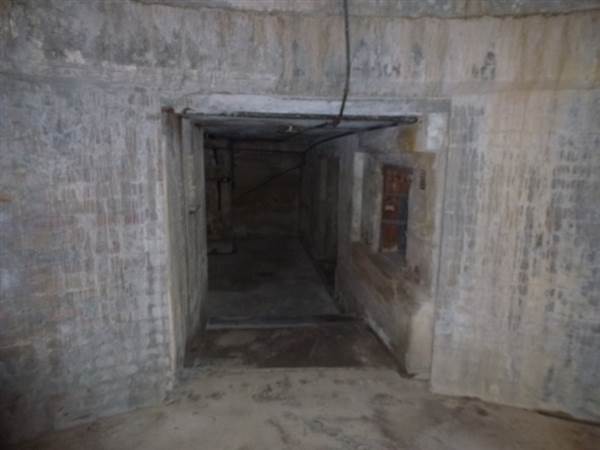 Middle Head Fortifications (13/03/2015)