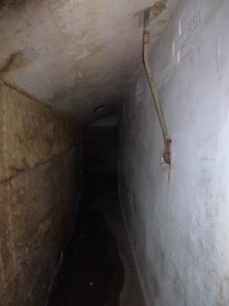 Middle Head Fortifications (13/03/2015)