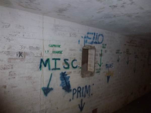 Middle Head Fortifications (13/03/2015)