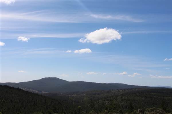 Jenolan State Forest - Logged Area (16/03/2015 - Credits: Jeremy Peek)