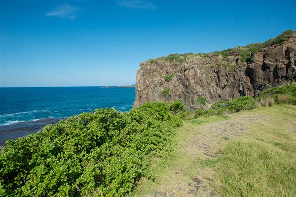 Bombo Headland Quarry (30/04/2015 - Credits: Colin McDougall)