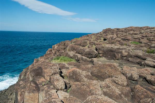 Bombo Headland Quarry (30/04/2015 - Credits: Colin McDougall)
