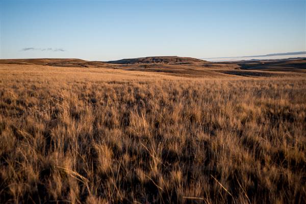 Monaro Plains (20/06/2015 - Credits: Colin McDougall)