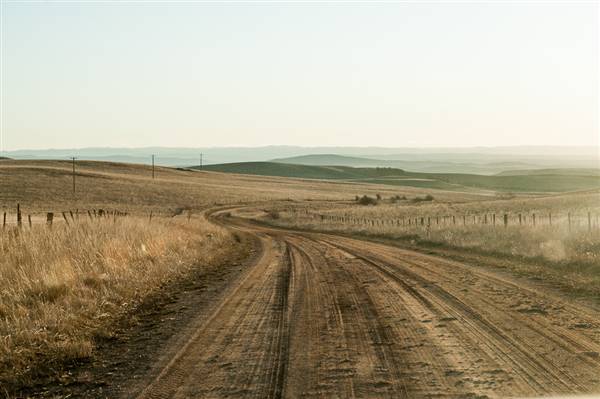 Monaro Plains (20/06/2015 - Credits: Colin McDougall)