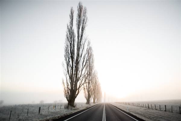 Monaro - Winter Frost (20/06/2015 - Credits: Colin McDougall)