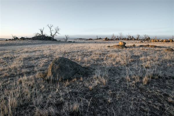 Monaro - Winter Frost (20/06/2015 - Credits: Colin McDougall)