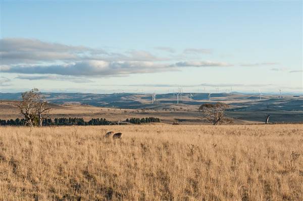 Boco Rock Wind Farm (24/07/2015)