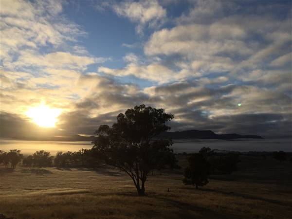 Snow Goose Farm - Glen Alice (8/11/2015)