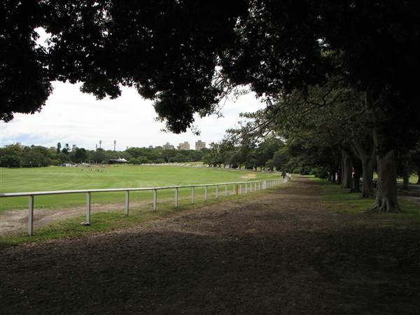 Centennial Park (24/02/2015 - Credits: Phillip Roope)