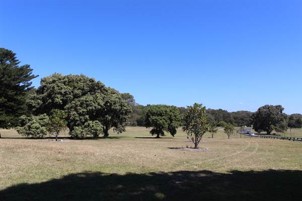 Centennial Park - Loch Ave South (24/10/2014)