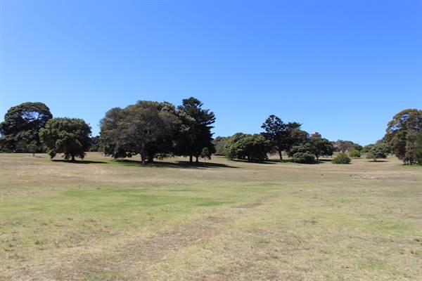 Centennial Park - Loch Ave South (24/10/2014)