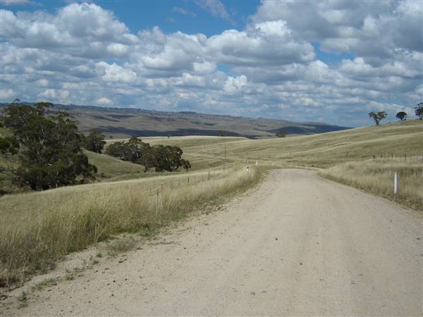 Monaro Plains - Summer (1/02/2005 - Credits: Colin McDougall)