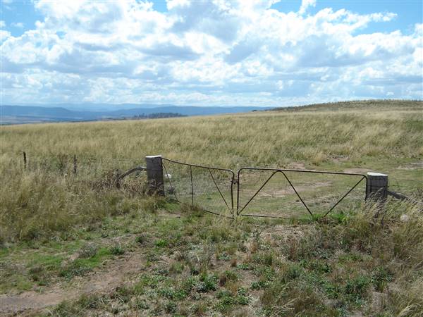 Monaro Plains (1/02/2005 - Credits: Colin McDougall)