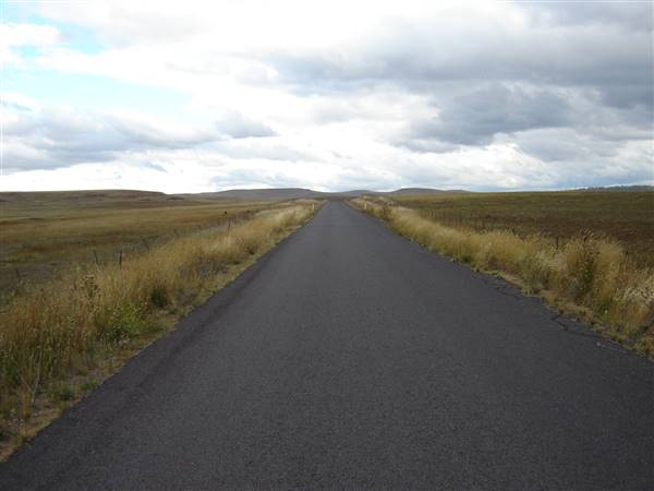 Monaro Plains (1/02/2005 - Credits: Colin McDougall)