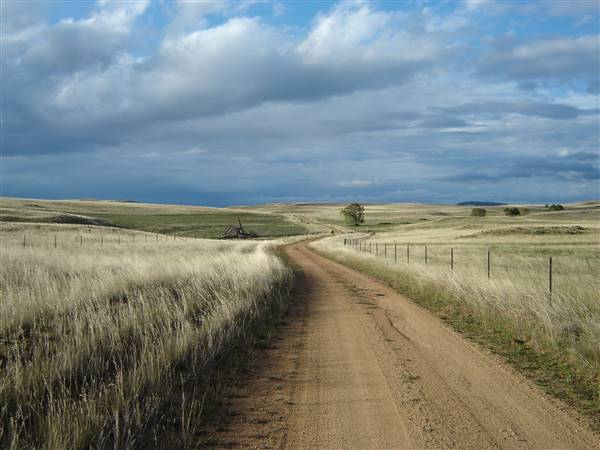 Monaro Plains (1/02/2005 - Credits: Colin McDougall)