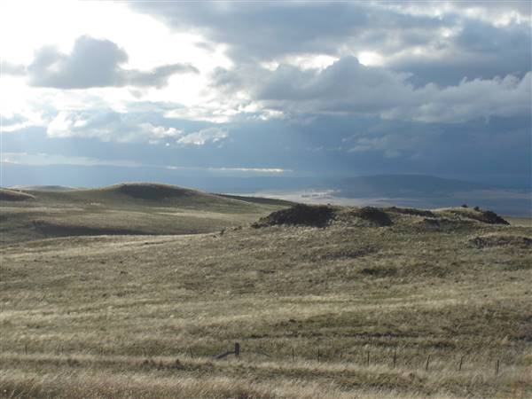 Monaro Plains (1/02/2005 - Credits: Colin McDougall)