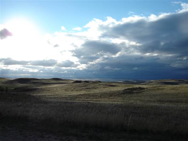 Monaro Plains (1/02/2005 - Credits: Colin McDougall)