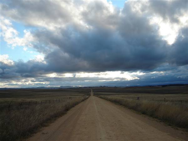 Monaro Plains (1/02/2014 - Credits: Colin McDougall)