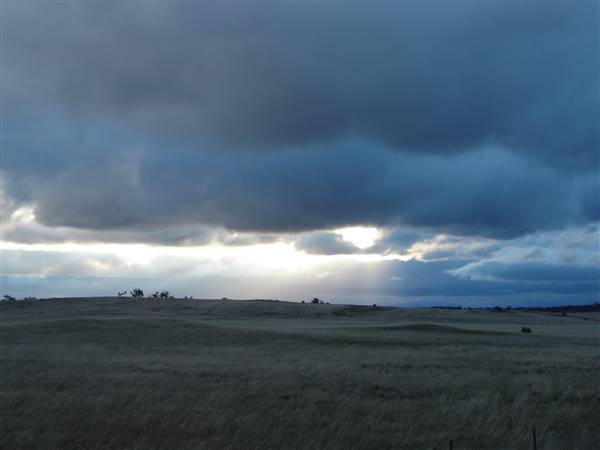 Monaro Plains (1/02/2014 - Credits: Colin McDougall)