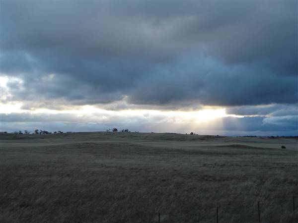 Monaro Plains (1/02/2014 - Credits: Colin McDougall)