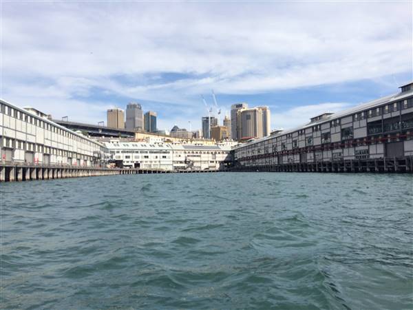 Walsh Bay - Sydney Harbour from the water (4/10/2015 - Credits: Shannon Wheeler)