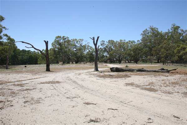 Bindara Station on the Darling - Period Homestead & Outbuildings (20/11/2015)