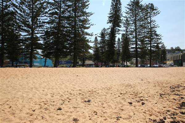 Collaroy Beach (20/11/2015)