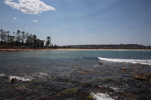 Dee Why Beach and Surrounds (20/11/2015 - Credits: Lisa Scope)