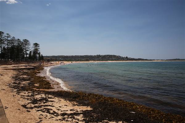 Dee Why Beach and Surrounds (20/11/2015 - Credits: Lisa Scope)