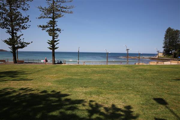 Dee Why Beach and Surrounds (20/11/2015 - Credits: Lisa Scope)