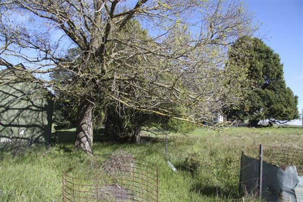 Private House - Crookwell (5/02/2016 - Credits: PETER HARRIS)