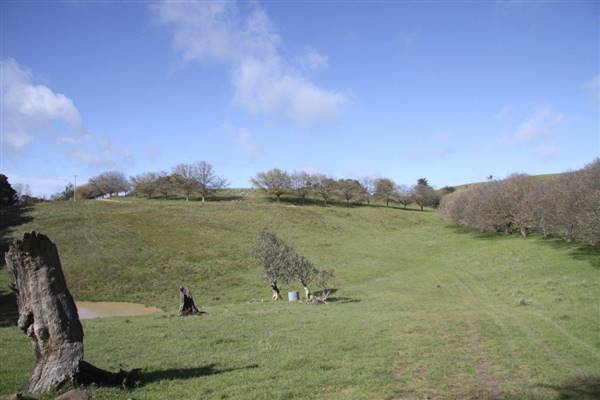 Private House - Crookwell (5/02/2016)