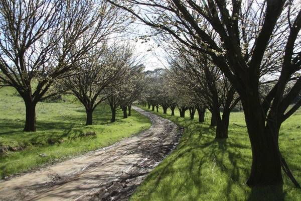 Private House - Crookwell (5/02/2016)