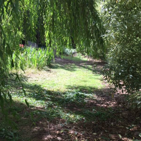 The Ridge at Bowral (18/12/2015)