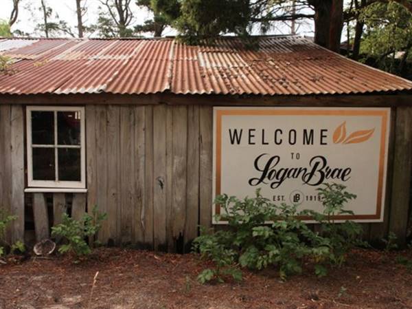 Logan Brae Orchard (17/04/2015)