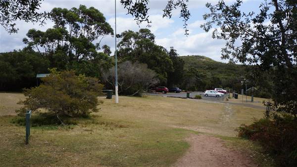 Wattamolla Beach (1/07/2016 - Credits: Mary Barltrop)