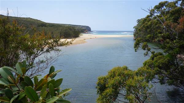 Wattamolla Beach (1/07/2016 - Credits: Mary Barltrop)