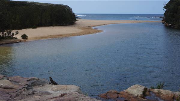 Wattamolla Beach (1/07/2016 - Credits: Mary Barltrop)