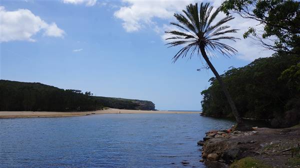Wattamolla Beach (1/07/2016 - Credits: Mary Barltrop)